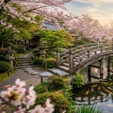 胡蝶綺 若き信長 OP「疾走」歌詞の意味を深掘り!信長の魂に迫る完全ガイド